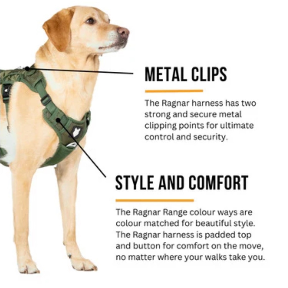 Fenrir Ragnar Dog Harness - Picture 6 of 7